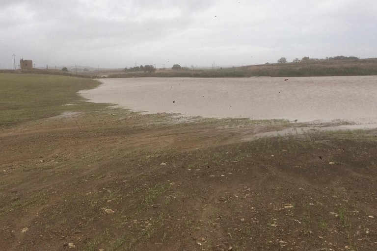 Esondazione del torrente Jesce nelle campagne di Altamura