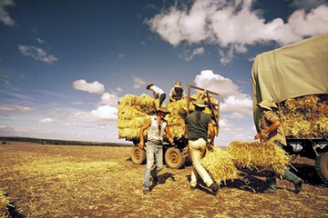 agricoltura