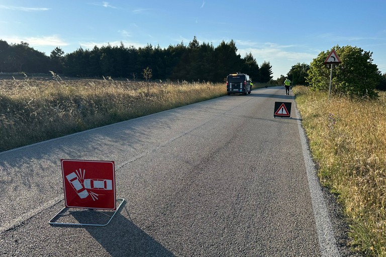 Incidente con cinghiale