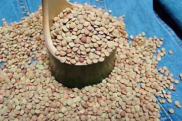 Lenticchie