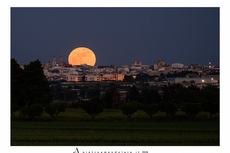 Luna dei fiori - Pietro Amendolara