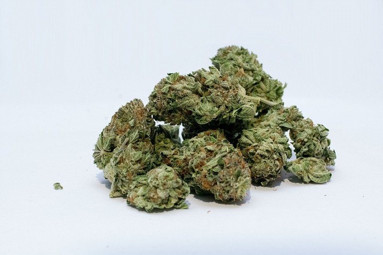 Cannabis
