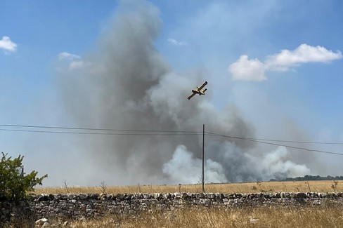 Ancora fuoco nel Parco dell’Alta Murgia, altri 50 ettari in fumo