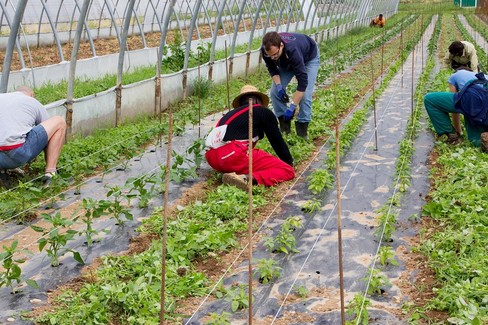 agricoltura sociale