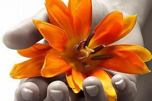 fiore