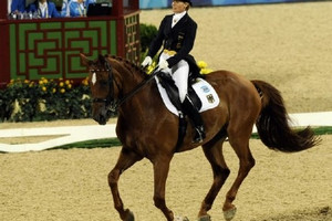 Dressage