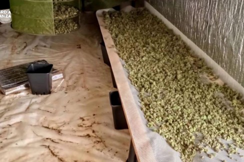 Traffico di droga nell'area murgiana, operazione della Guardia di finanza
