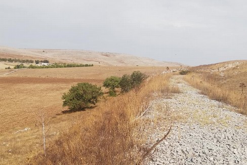 Escursione Murgia