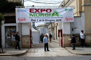 expo murgia 2010