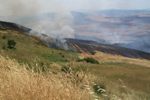 Incendio Gravina