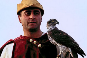 falconiere