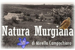 Natura Murgiana