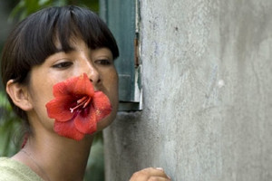 Il canto di Paloma