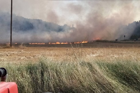 Incendi di sterpaglie e vegetazione a Lamalunga