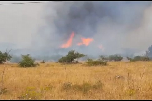 Incendio di bosco