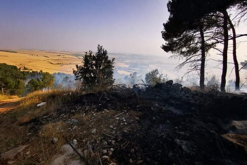 Primi incendi nell'area murgiana, già si contano i danni
