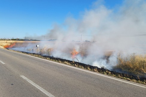 Spenti due incendi ad Altamura