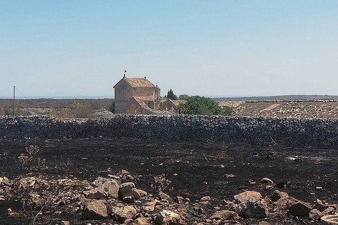 Murgia bruciata: dichiarare calamità e aiutare le aziende