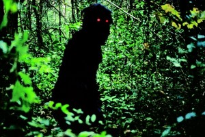 Lo zio Boonmee che si ricorda le vite precedenti