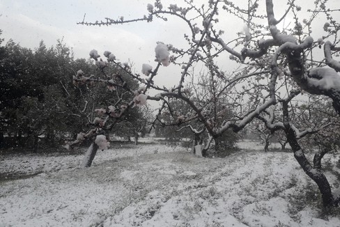 Neve nelle campagne