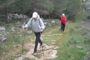 nordic walking