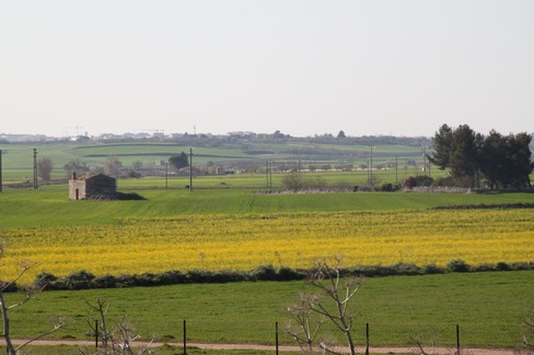 Altamura Rinnovo Della Commissione Locale Per Il Paesaggio