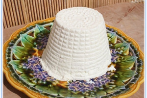 ricotta