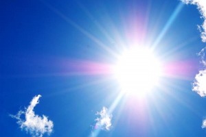 sole