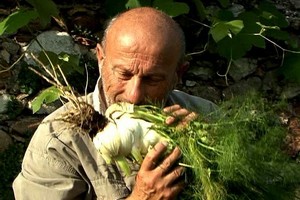Terra madre