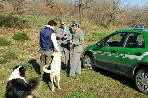 controlli tesserini tartufi