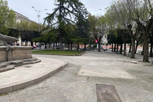 Villa della fontana: interventi su alberi da abbattere