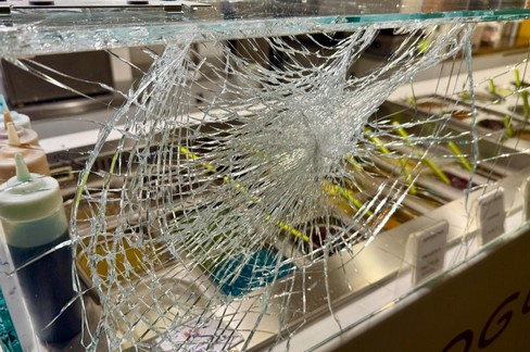 Rapina e violenta aggressione in yogurteria a colpi di martello