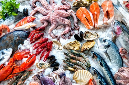 Pesce