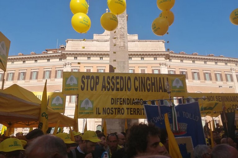 protesta cinghiali