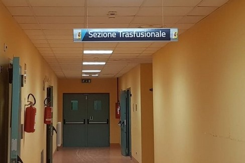 Sezione immuno-trasfusionale