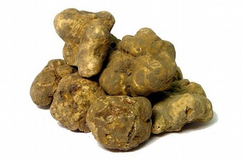 tartufo