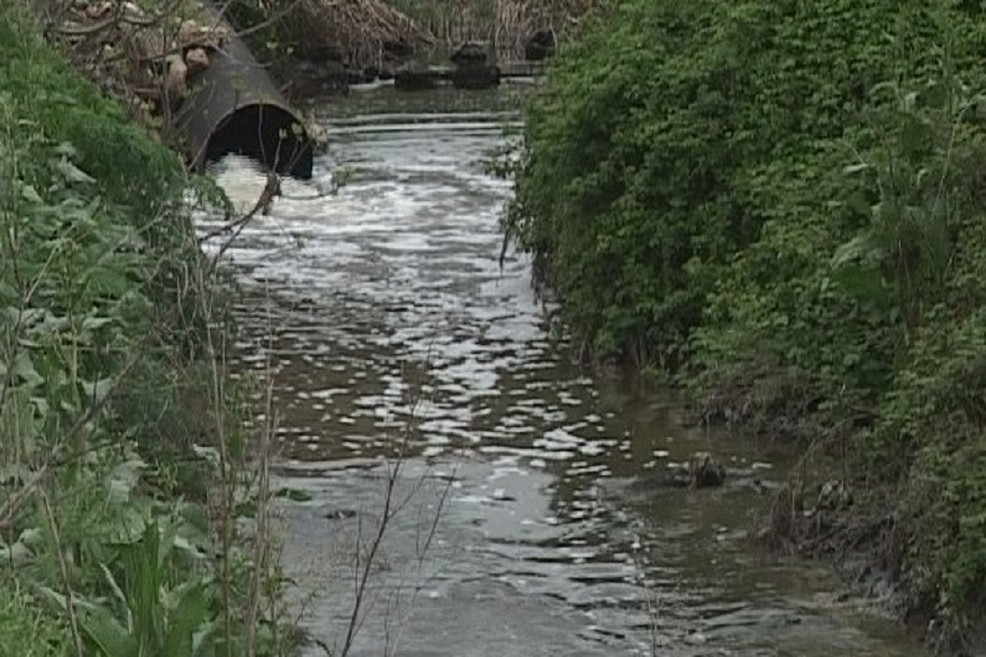 torrente jesce